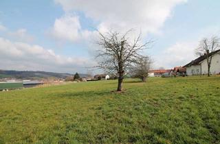 Grundstück zu kaufen in 94036 Heining, Bauträger aufgepasst! Passau-Heining: 4.597 m² Baugrund – MI-Gebiet