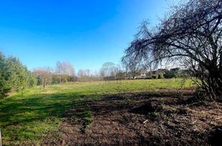 Grundstück zu kaufen in 38524 Sassenburg, GROßZÜGIGES BAUGRUNDSTÜCK IN RUHIGER UND IDYLLISCHER LAGE: FREIRAUM FÜR IHRE IDEEN