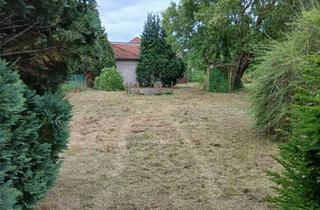 Grundstück zu kaufen in Spreestraße 46, 15370 Fredersdorf-Vogelsdorf, Verkauf des Grundstücks Spreestraße 46 in 15370 Fredersdorf-Vogelsdorf zum Höchstgebot