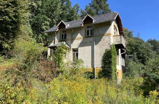Villa kaufen in An Der Schlösselmühle 11, 09439 Amtsberg, Denkmalgeschütze Villa der ehem. Patentpapierfabrik in Amtsberg südlich von Chemnitz auf ca. 2.800m²