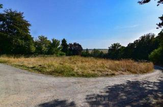 Grundstück zu kaufen in 08451 Crimmitschau, Baugrundstück in Crimmitschau inkl. Bauprojekt