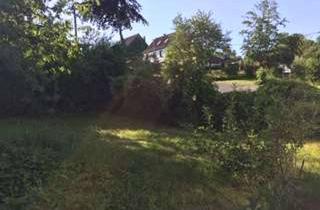 Haus mieten in Dorfstr. 13, 04618 Göpfersdorf, Geräumiges, günstiges 10-Zimmer-Haus mit gehobener Innenausstattung und EBK in Göpfersdorf