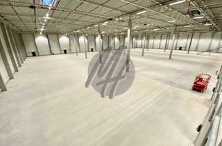 Büro zu mieten in 52477 Alsdorf, NEUBAU ✓ RAMPE + EBEN ✓ Lager (10.000 m²) & Büro (500 m²)