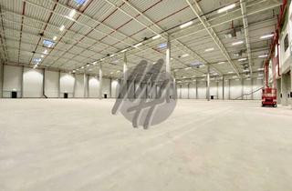 Büro zu mieten in 36251 Bad Hersfeld, NEUBAU ✓ RAMPE + EBEN ✓ Lager (8.000 m²) & Büro (500 m²)