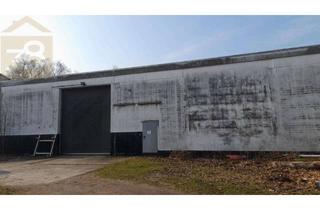 Gewerbeimmobilie kaufen in 38524 Sassenburg, Großzügiges Grundstück mit Gewerbehalle und Wohnhaus! Mein Gewerbe= mein Makler!