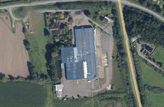 Gewerbeimmobilie kaufen in 48565 Steinfurt, Großzügige gepflegte Industriehallen mit Bürogebäude
