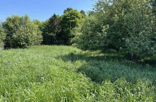 Grundstück zu kaufen in 85232 Bergkirchen, Freizeitgrundstück