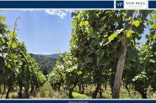 Immobilie kaufen in 53474 Bad Neuenahr-Ahrweiler, Investieren Sie in 'flüssiges Gold'! Namhaftes Weingut am Rotweinwanderweg sucht Investor