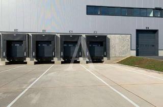 Gewerbeimmobilie mieten in 48268 Greven, MODERNE LOGISTIKFLÄCHEN | NEUBAU | RAMPE + EBENERDIG | 12 M UKB | MIETE | ANGERMANN NRW