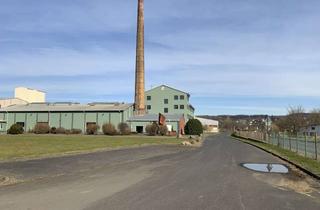 Gewerbeimmobilie mieten in Kirchheimer Straße, 53902 Bad Münstereifel, Freie Lager-Flächen im k9 Quartier - Halle Nr. 14 - Bad Münstereifel Arloff