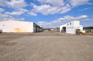 Gewerbeimmobilie mieten in Industriestraße 18, 63674 Altenstadt, Top Gewerbefläche für Industrie, Handel & Transport auf 9.663 m²