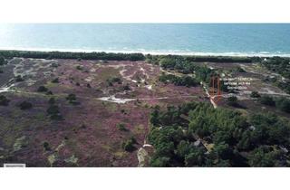 Grundstück zu kaufen in 18565 Insel Hiddensee, 3 D Immo - Gemälde auf der Insel Hiddensee - kein Bauland