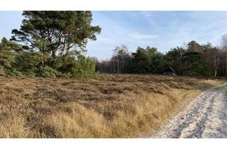 Grundstück zu kaufen in 18565 Insel Hiddensee, 3 D Immo - Gemälde auf der Insel Hiddensee - kein Bauland