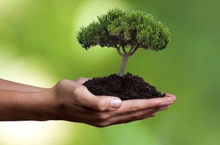 Grundstück zu kaufen in 03130 Spremberg, Große Baugrundstücke zu kleinen Preisen - mitten in Spremberg!