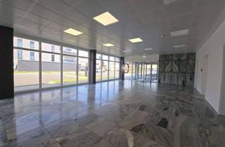 Büro zu mieten in 33397 Rietberg, Gestalten Sie Ihre Zukunft - Top Bürofläche für kreative Köpfe zentral in Rietberg
