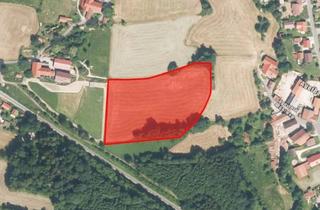 Gewerbeimmobilie kaufen in 94239 Zachenberg, Verkaufe 1,95 ha Wiese & Wald in 94239 Zachenberg (REG)
