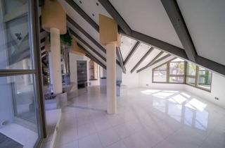 Penthouse mieten in Groß-Gerauer Straße 6-8, 55130 Laubenheim, Lichtdurchflutetes Penthouse mit Gästewohnung