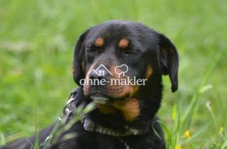 Wohnung mieten in 82431 Kochel, 3 Zimmer Wohnung Kochel City mit Dachterrasse