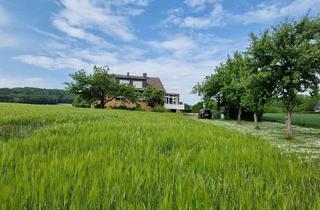Haus mieten in 32257 Bünde, 9 Zimmer im EG u OG.- 2xKüche, 2xBad, teilmöbliert, mit Wintergarten und Garten ** in Alleinlage **