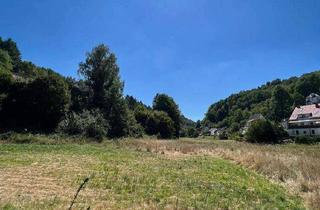 Grundstück zu kaufen in 66955 Niedersimten, +++ Für Naturliebhaber und Bauherren: 23432 m² fast ebenes und sonniges Grundstück mit Bachlauf +++