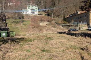 Grundstück zu kaufen in 01824 Königstein, Sensationelles Elbgrundstück in der Sächsischen Schweiz