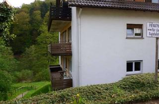 Wohnung kaufen in 76332 Bad Herrenalb, *** Vermietete 2 Zimmer Wohnung im Unteren Gaistal zu verkaufen***