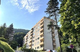 Wohnung kaufen in 76332 Bad Herrenalb, = Für eine kleine Familie perfekt! =