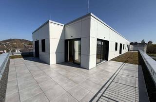 Penthouse mieten in Beckerstraße 32, 63739 Aschaffenburg, Helle Penthouse-Wohnung mit großer Dachterrasse und wunderschöner Aussicht