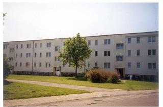 Wohnung mieten in Schulring 1 c, 18320 Trinwillershagen, 4 Raum Wohnung in Trinwillershagen
