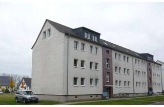 Wohnung mieten in Ringstraße 3 b, 18442 Niepars, 2 Raum Wohnung in Niepars