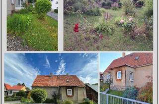 Einfamilienhaus kaufen in 38889 Blankenburg, *REDUZIERTER PREIS*Einfamilienhaus in der Blütenstadt Blankenburg mit großem Grundstück und Pool *