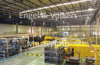 Gewerbeimmobilie kaufen in 94368 Perkam, Großes Produktionsareal im Landkreis Straubing-Bogen