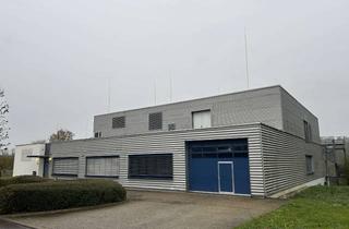 Gewerbeimmobilie kaufen in 74219 Möckmühl, Gewerbeeinheit mit vielfältigem Nutzungspotenzial