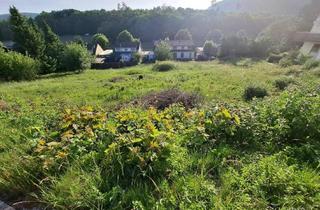 Grundstück zu kaufen in 72393 Burladingen, Wunderschönes Wohngrundstück mit toller Aussicht