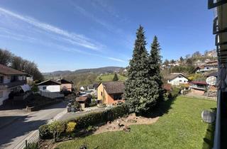 Wohnung kaufen in 64678 Lindenfels, Charmante Etagenwohnung mit Weitblick