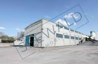 Gewerbeimmobilie mieten in 33428 Harsewinkel, Lager- und Produktionshalle im Gewerbegebiet Marienfeld – Teilbar ab 1.000 m²