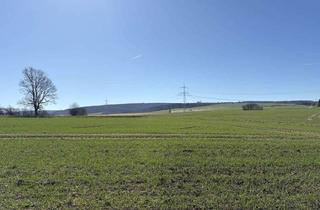 Grundstück zu kaufen in 31867 Hülsede, KARSTEN IMMOBILIEN ermöglicht Ihnen: Traumhaftes Baugrundstück in Hülsede mit freiem Weitblick.