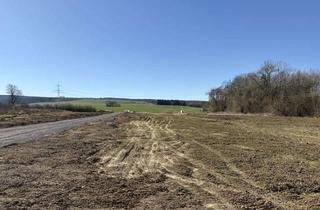 Grundstück zu kaufen in 31867 Hülsede, KARSTEN IMMOBILIEN ermöglicht Ihnen: Traumhaftes Baugrundstück in Hülsede mit freiem Weitblick.