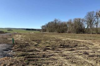 Grundstück zu kaufen in 31867 Hülsede, KARSTEN IMMOBILIEN ermöglicht Ihnen: Naturnahes Baugrundstück in Hülsede mit freiem Weitblick.