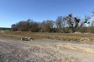 Grundstück zu kaufen in 31867 Hülsede, KARSTEN IMMOBILIEN ermöglicht Ihnen: Baugrundstück in der Natur von Hülsede mit freiem Weitblick.