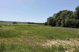 Grundstück zu kaufen in 31867 Hülsede, Exklusiv bei KARSTEN IMMOBILIEN: Baugrundstücke in der Natur mit Blick ins Grünen, Hülsede / Meinsen