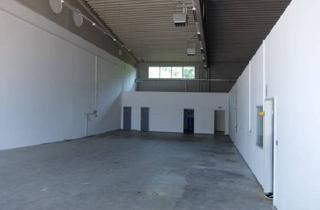 Büro zu mieten in 93080 Pentling, VH2776b Moderne Werkstatt-/Lagerhallen mit integrierten Büros und Freiflächen / Pentling