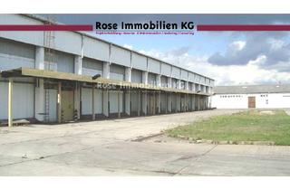 Gewerbeimmobilie kaufen in Handelshof, 15328 Küstriner Vorland, ROSE IMMOBILIEN KG: Lager-/Produktion zu verkaufen!