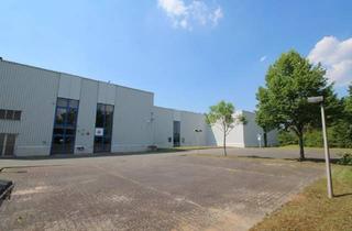 Büro zu mieten in Schücostr. 1-5, 68649 Groß-Rohrheim, verkehrgünstig gelegen: Hallenfläche mit Freifläche, optional mit Büros - HR 3935