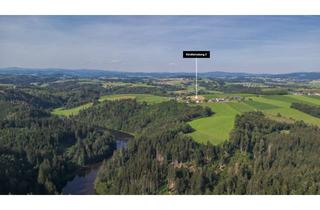 Haus kaufen in Kindleinsberg, 94121 Salzweg, Hofanwesen in naturnaher Bestlage mit 18ha vor den Toren Passaus