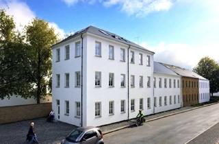 Anlageobjekt in Am Stollen 11, 04741 Roßwein, ERSTBEZUG - Kernsaniertes MFH mit 10 Einheiten