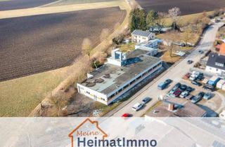 Gewerbeimmobilie kaufen in Wittislinger Straße 33, 89415 Lauingen, Einfamilienhaus mit großzügiger Gewerbeeinheit zur vielseitigen Nutzung! - flexibel teilbar