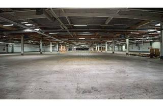 Gewerbeimmobilie mieten in 56869 Mastershausen, Lager-/Produktionsflächen, 300 m² bis 50.000 m² Nähe 56288 Kastellaun PROVISIONSFREI zu vermieten