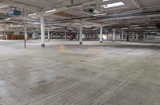 Gewerbeimmobilie mieten in 56869 Mastershausen, Lager-/Produktionsflächen, 300 m² bis 50.000 m² Nähe 56288 Kastellaun PROVISIONSFREI zu vermieten