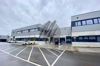 Büro zu mieten in 68519 Viernheim, NEUBAU ✓ Lager (2.500 m²) & Büro (800 m²) zu vermieten